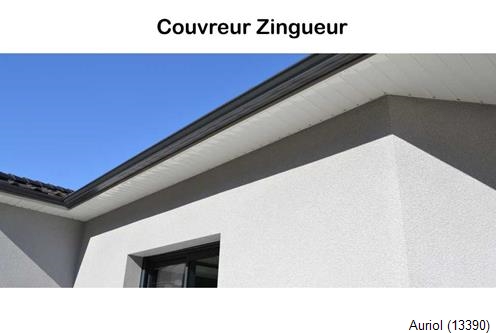 Gouttière PVC Auriol-13390