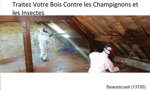 charpentier-couvreur à Beaurecueil-13100