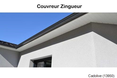 Gouttière PVC Cadolive-13950