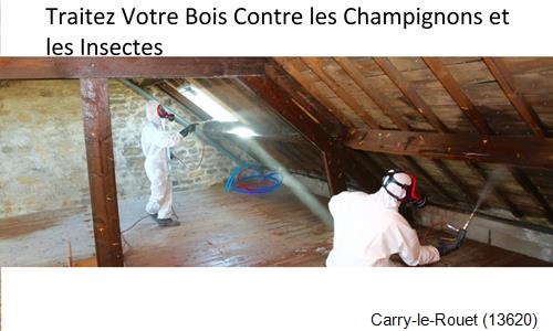 charpentier-couvreur à Carry-le-Rouet-13620