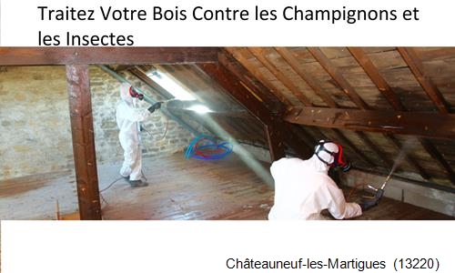 charpentier-couvreur à Châteauneuf-les-Martigues-13220