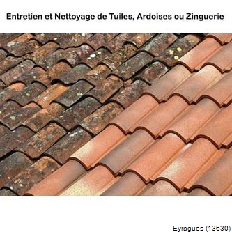 Nettoyage total d'une toiture