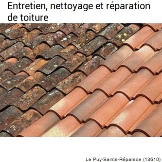 Couvreur réparation couverture tuile Le Puy-Sainte-Réparade-13610