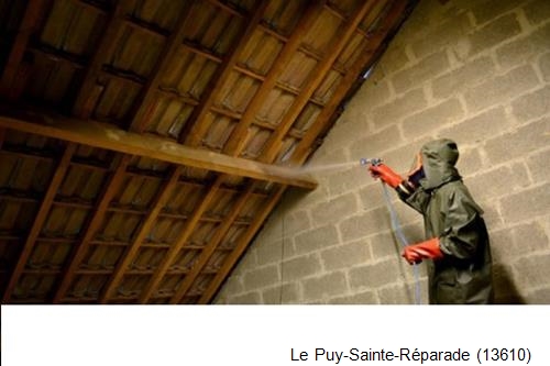 traitement de charpente à Le Puy-Sainte-Réparade-13610