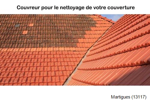 Réparation fuite de toit Martigues-13117