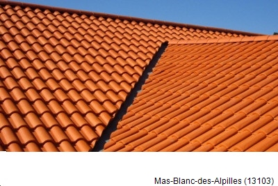 artisan couvreur à Mas-Blanc-des-Alpilles-13103