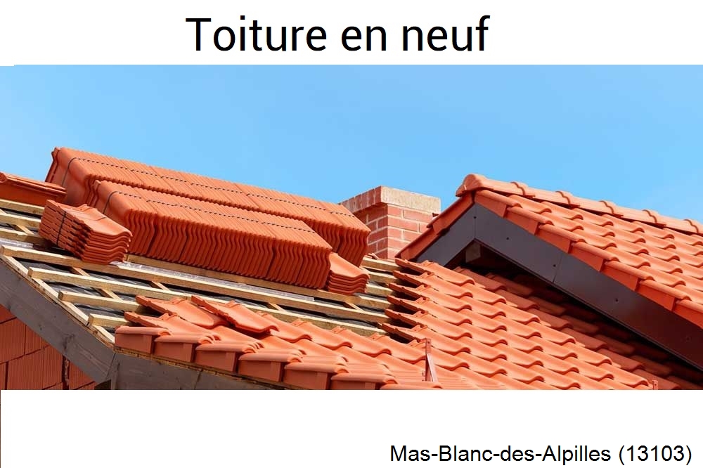 Toiture traditionnelle Mas-Blanc-des-Alpilles-13103