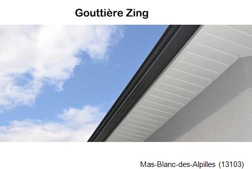 Nettoyage de gouttière Mas-Blanc-des-Alpilles-13103