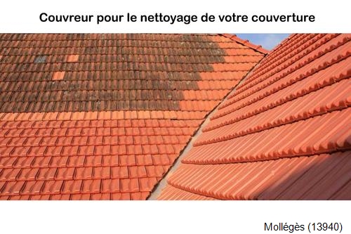 Réparation fuite de toit Mollégès-13940