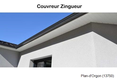 Gouttière PVC Plan-d'Orgon-13750