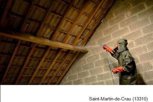 traitement de charpente à Saint-Martin-de-Crau-13310