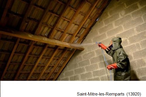 traitement de charpente à Saint-Mitre-les-Remparts-13920