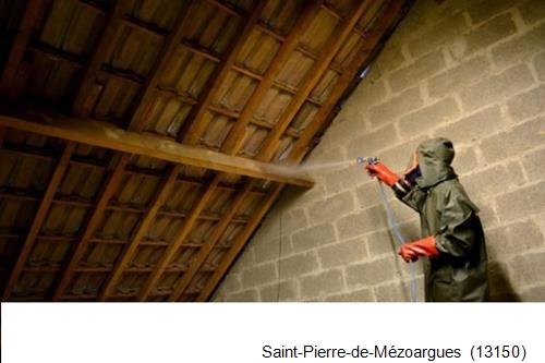 traitement de charpente à Saint-Pierre-de-Mézoargues-13150