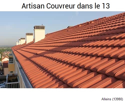 réparation toiture Alleins-13980