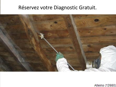 Toiture réparation, rénovation charpente extention Alleins-13980
