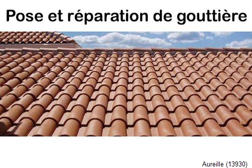Nettoyage et réparation gouttière pvc Aureille-13930