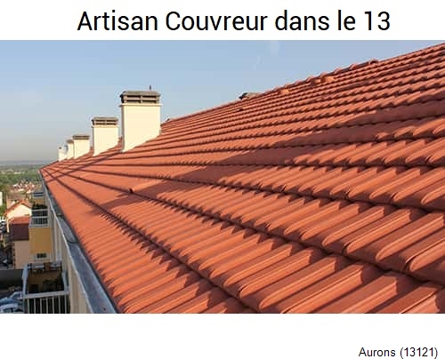 réparation toiture Aurons-13121