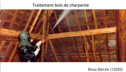 charpente traditionnelle Bouc-Bel-Air-13320