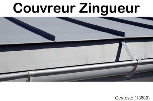 Pose gouttière en zinc Ceyreste-13600