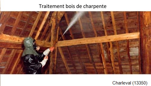 charpente traditionnelle Charleval-13350