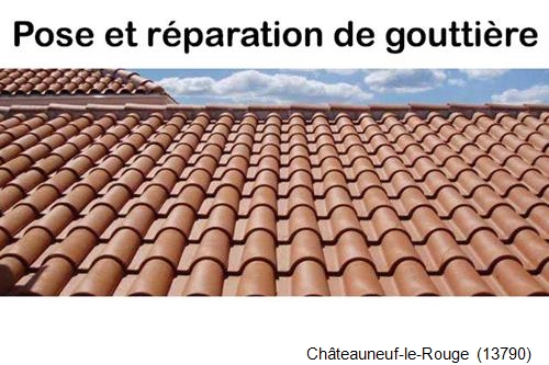Nettoyage et réparation gouttière pvc Châteauneuf-le-Rouge-13790