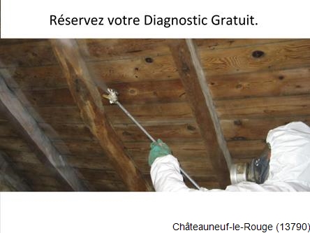 Toiture réparation, rénovation charpente extention Châteauneuf-le-Rouge-13790