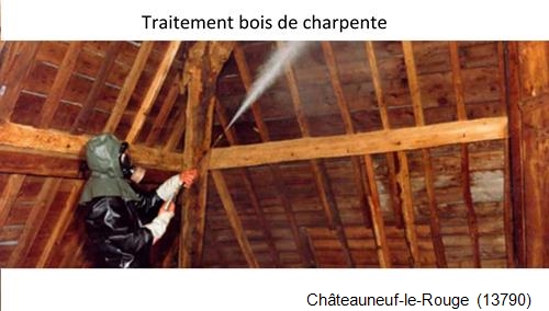 charpente traditionnelle Châteauneuf-le-Rouge-13790