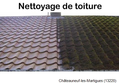 Démoussage toiture Châteauneuf-les-Martigues-13220