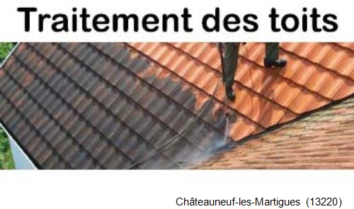Entreprise de couverture à Châteauneuf-les-Martigues-13220