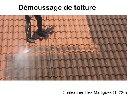 Toiture réparation plus démoussage Châteauneuf-les-Martigues-13220