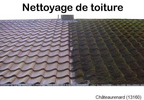 Démoussage toiture Châteaurenard-13160