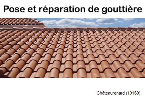 Nettoyage et réparation gouttière pvc Châteaurenard-13160