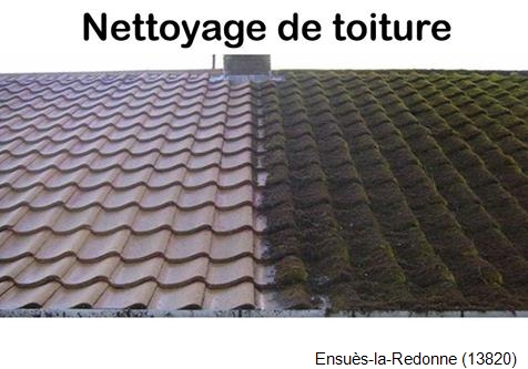 Démoussage toiture Ensuès-la-Redonne-13820