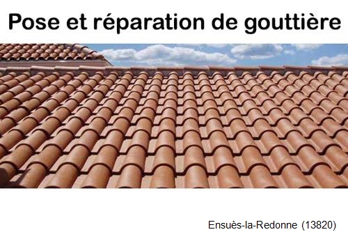 Nettoyage et réparation gouttière pvc Ensuès-la-Redonne-13820