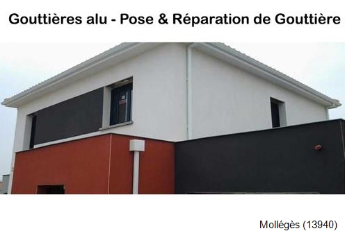 Artisan Poseur Gouttière Mollégès-13940