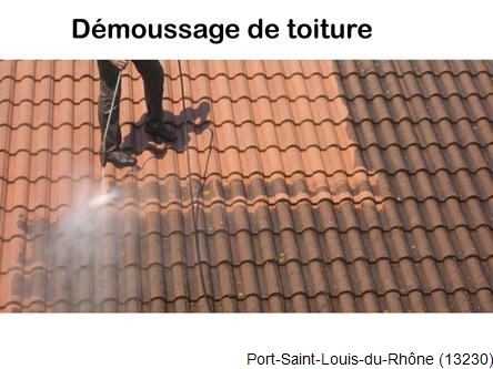 Toiture réparation plus démoussage Port-Saint-Louis-du-Rhône-13230