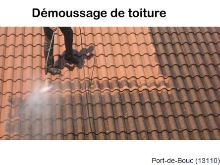 Toiture réparation plus démoussage Port-de-Bouc-13110