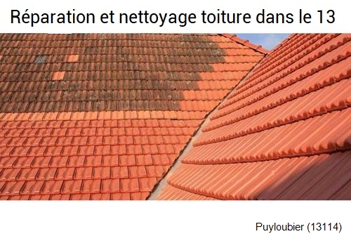 Réparation fuite toiture à Puyloubier-13114