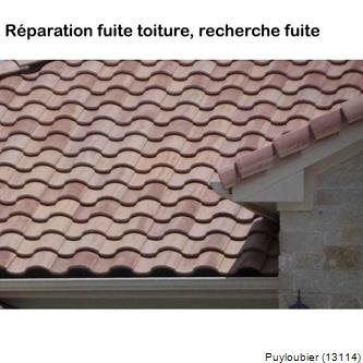 Toiture rénovation tuile Puyloubier-13114