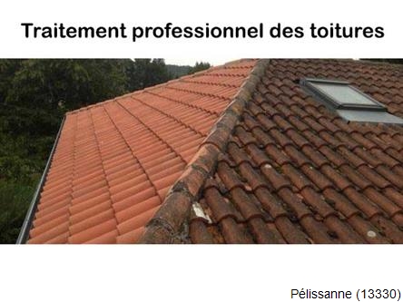 Réparation fuite toiture à Pélissanne-13330