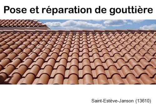 Nettoyage et réparation gouttière pvc Saint-Estève-Janson-13610
