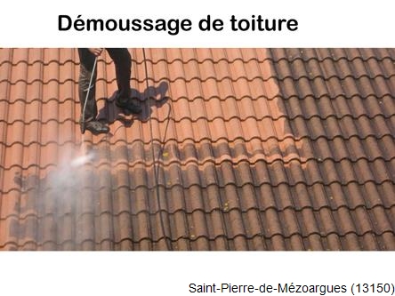 Toiture réparation plus démoussage Saint-Pierre-de-Mézoargues-13150