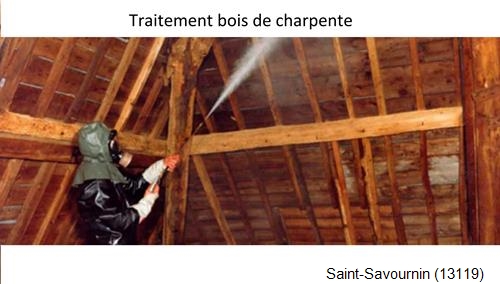 charpente traditionnelle Saint-Savournin-13119