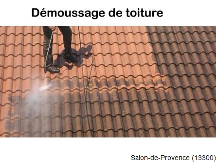 Toiture réparation plus démoussage Salon-de-Provence-13300