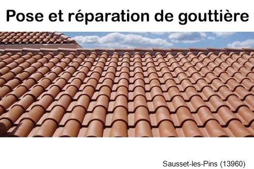 Nettoyage et réparation gouttière pvc Sausset-les-Pins-13960