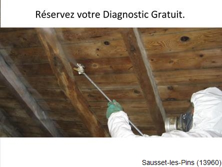 Toiture réparation, rénovation charpente extention Sausset-les-Pins-13960
