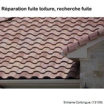 Toiture rénovation tuile Simiane-Collongue-13109