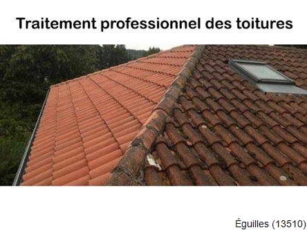 Réparation fuite toiture à Éguilles-13510